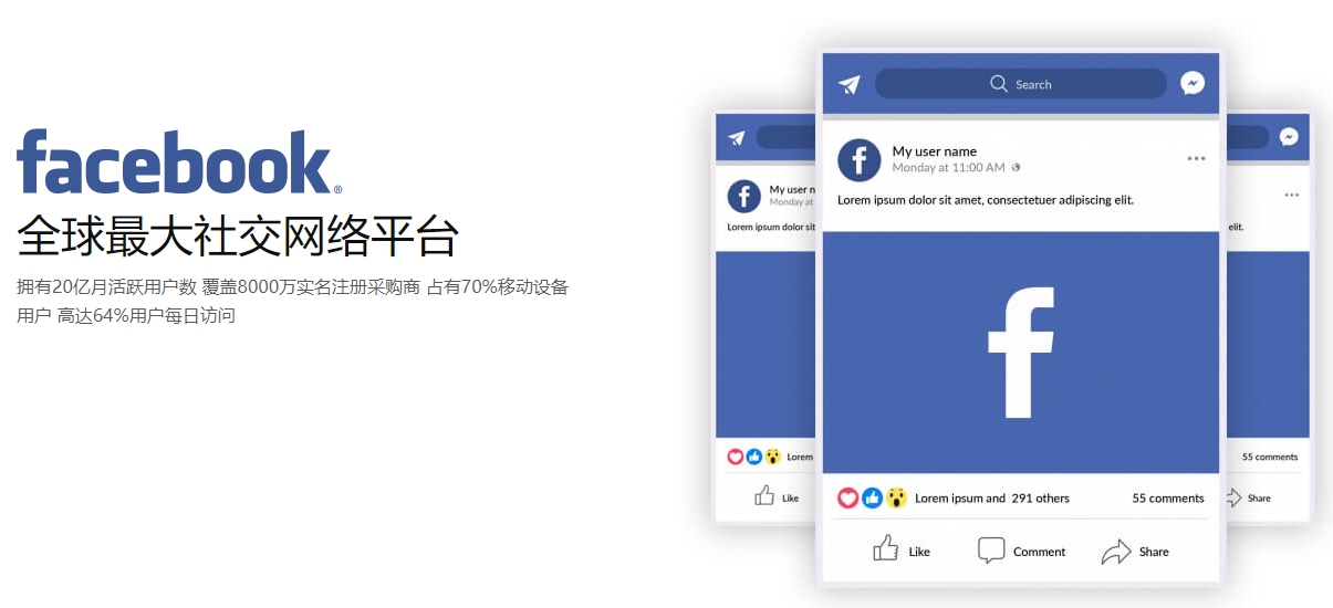 泰州海外社交媒体营销  第1张